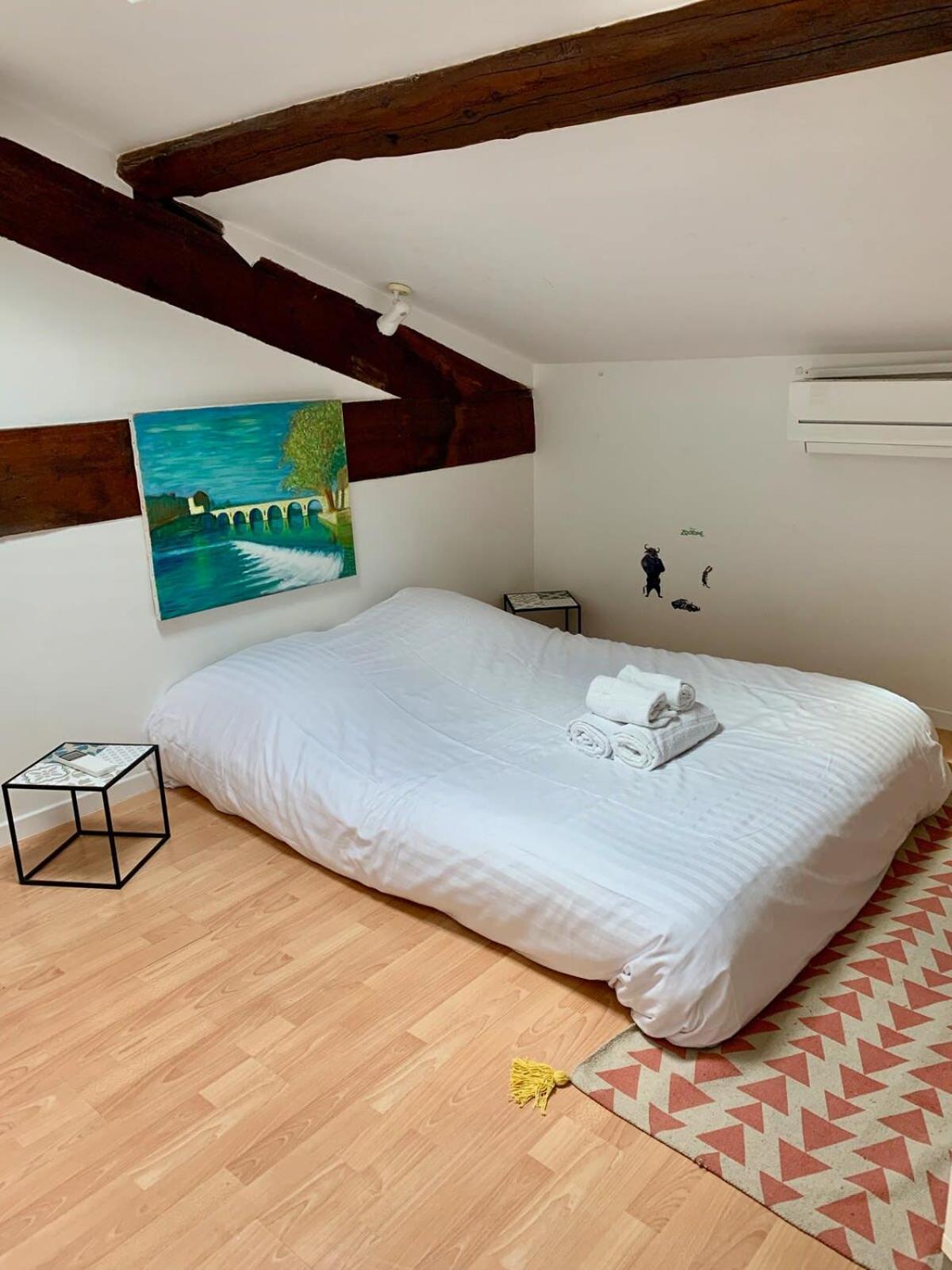 The Duplex- Air-conditioned 3 Bedrooms In The Center Of Montpellier! Appartement