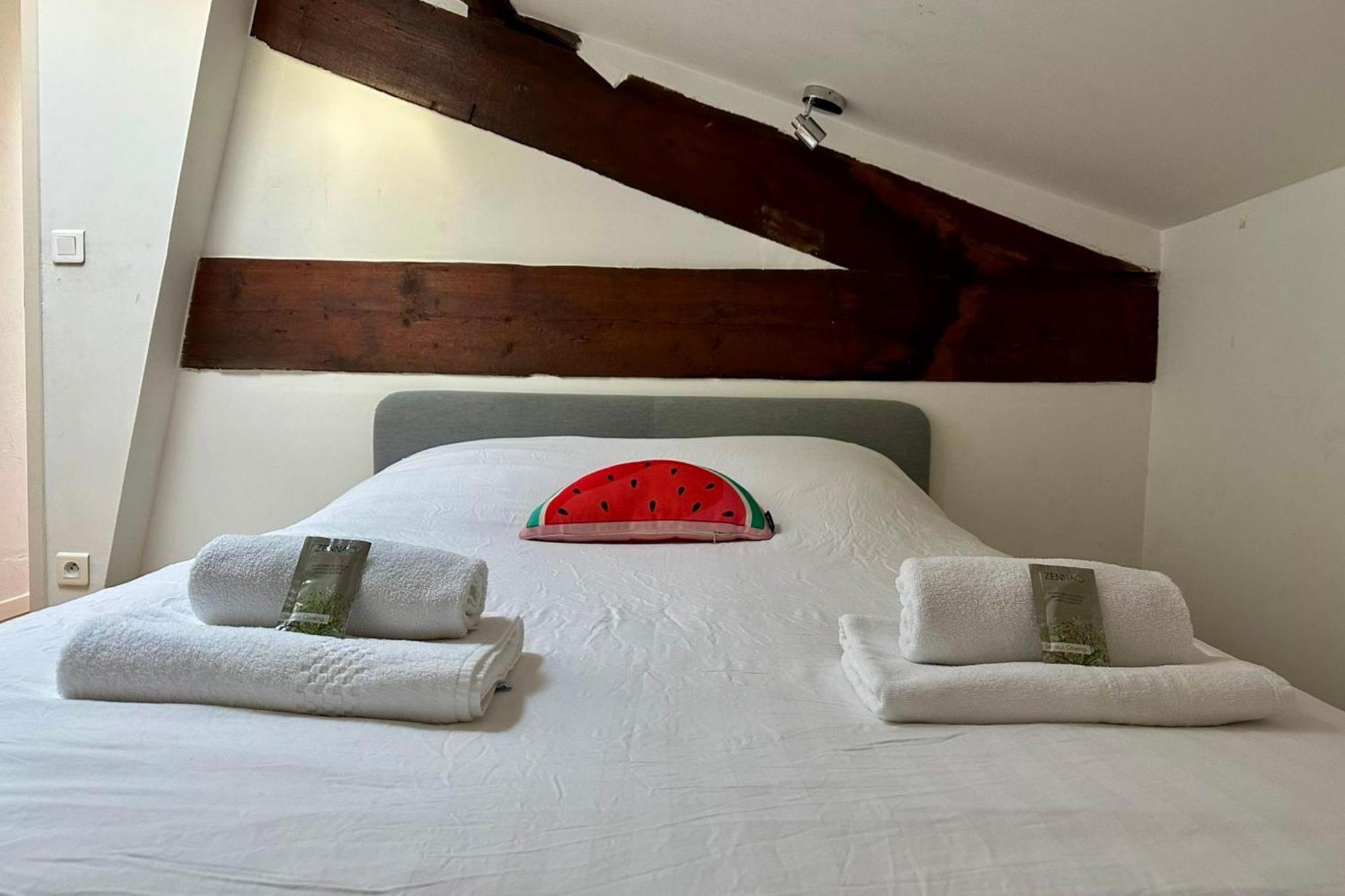 Appartement Groomi Le Duplex- Climatisé, 3 Chb Centre De Montpellier! Montpellier